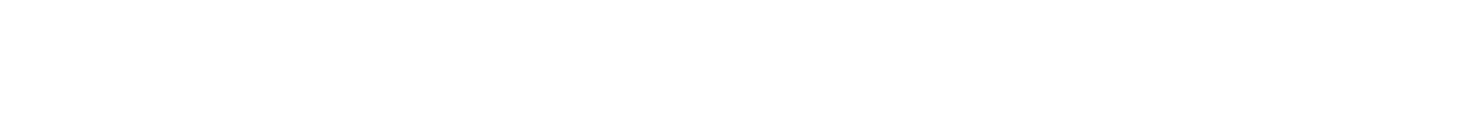DENZA Z